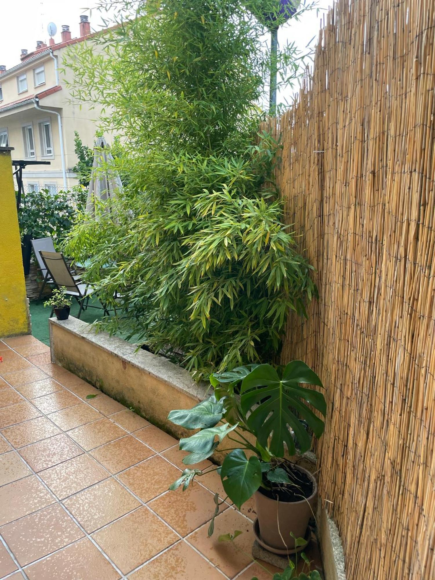 Ecobambu Con Terraza Y Parking En Pontevedra Daire San Salvador de Poio Dış mekan fotoğraf